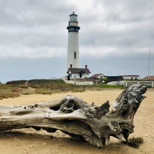 a large driftwood log lays on sand in front of a lighthouse