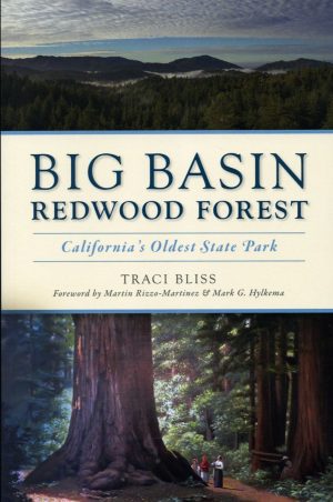 Big Basin Redwood Forest: California's Oldest State Park by Traci Bliss book cover