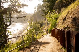 Fenced dirt trail descends towards a beach at sunset