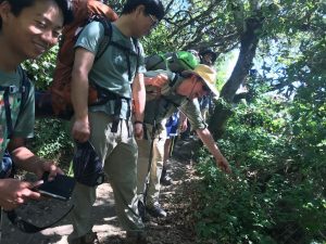 Hikers stop to look at plants on the side of a trail