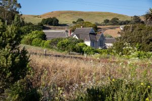 Wilder Ranch barnhouse peeking out over a tan, grassy hill