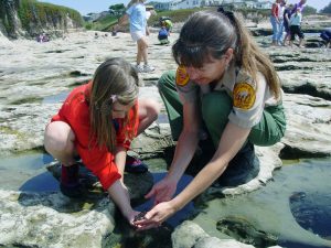 A state parks worker and child investigate a tidepool
