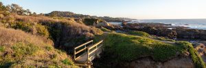 A bridge recedes into coastal cliffs overlooking the rocky shore of the ocean