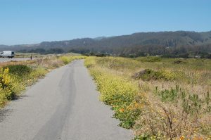 paved hiking path going towards forested hills