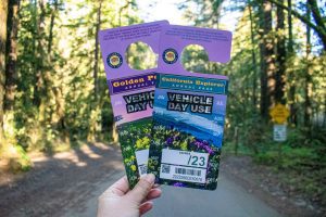 Annual vehicle day use passes