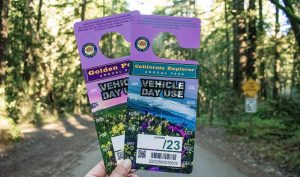 Annual Vehicle day use passes