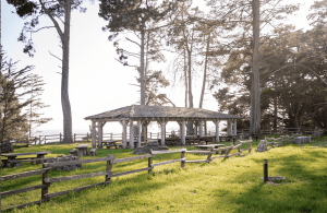 Wooden veranda with a roof sheltering rows of picnic tables.