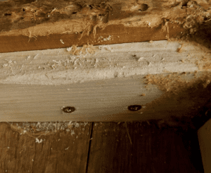 new wooden support on the inside of the couch