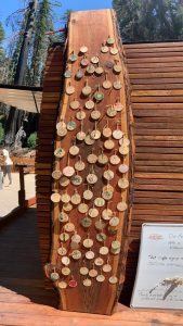 Wooden ornaments with messages written on them are pinned to a wooden plank