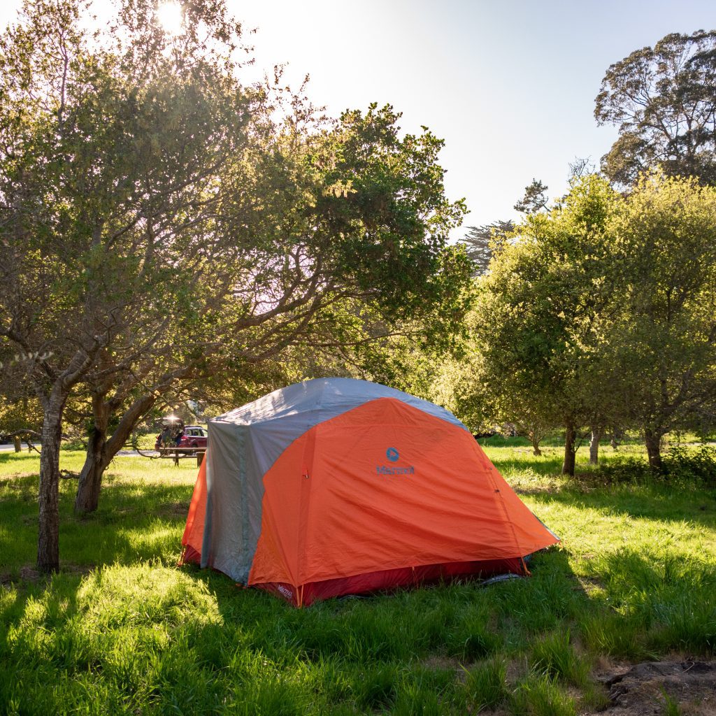 Orange tent set up in bright green grass surrounded by short deciduous trees.