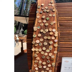 Wooden ornaments with messages written on them are pinned to a wooden plank