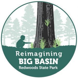 Reimagining Big Basin Redwoods State Park Logo