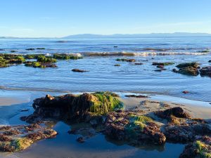 Bright blue ocean water along tidepools