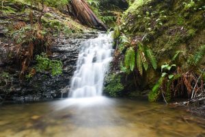 A small waterfall flows into a creek