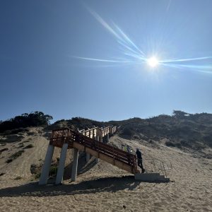 People walking up stairs which lead from Manresa beach to the mainland
