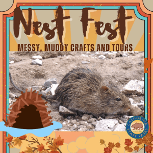 Nest Fest: messy, muddy crafts and tours event flyer