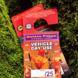 2024-25 Parks Passes
