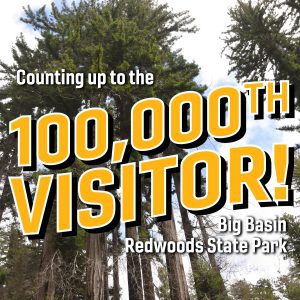 image of redwood trees with "counting up to the 100,000th visitor! Big Basin Redwoods State Park in yellow and white text