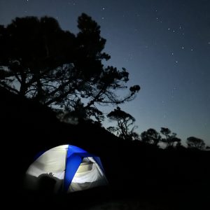 blue and white camping tent illuminated at night