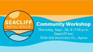 Seacliff Resilience Community Workshop