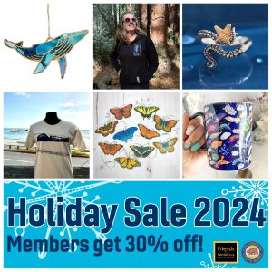 Holiday sale 2024