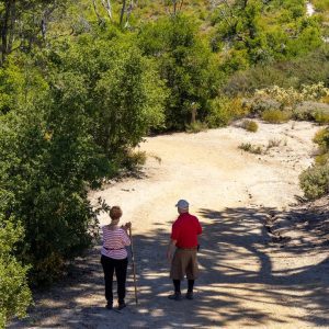 Two hikers walking along a sandy trail