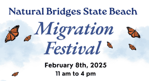 Natural Bridges State Beach Migration festival. February 8th, 2025 11am to 4pm
