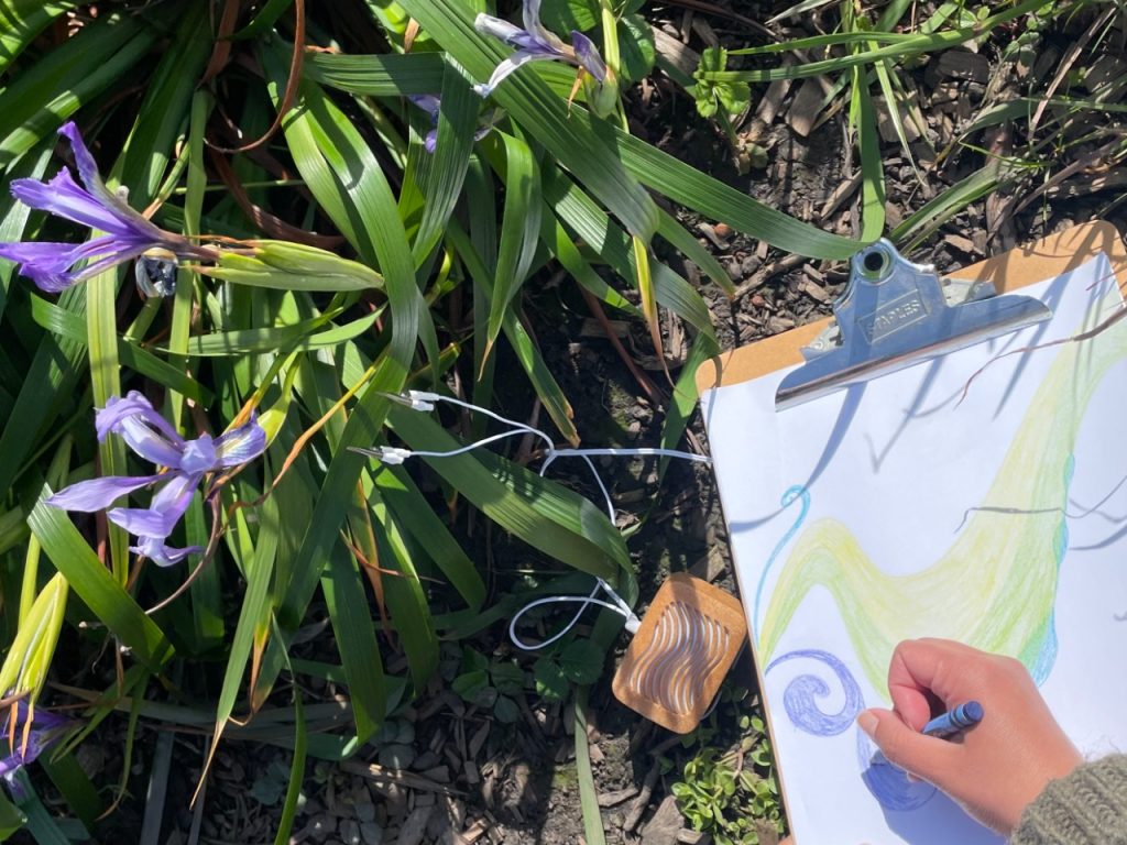 A sketchpad on a clipboard with an abstract drawing. A flower and lush shrub is next to the drawing