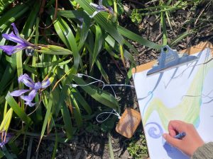 A sketchpad on a clipboard with an abstract drawing. A flower and lush shrub is next to the drawing