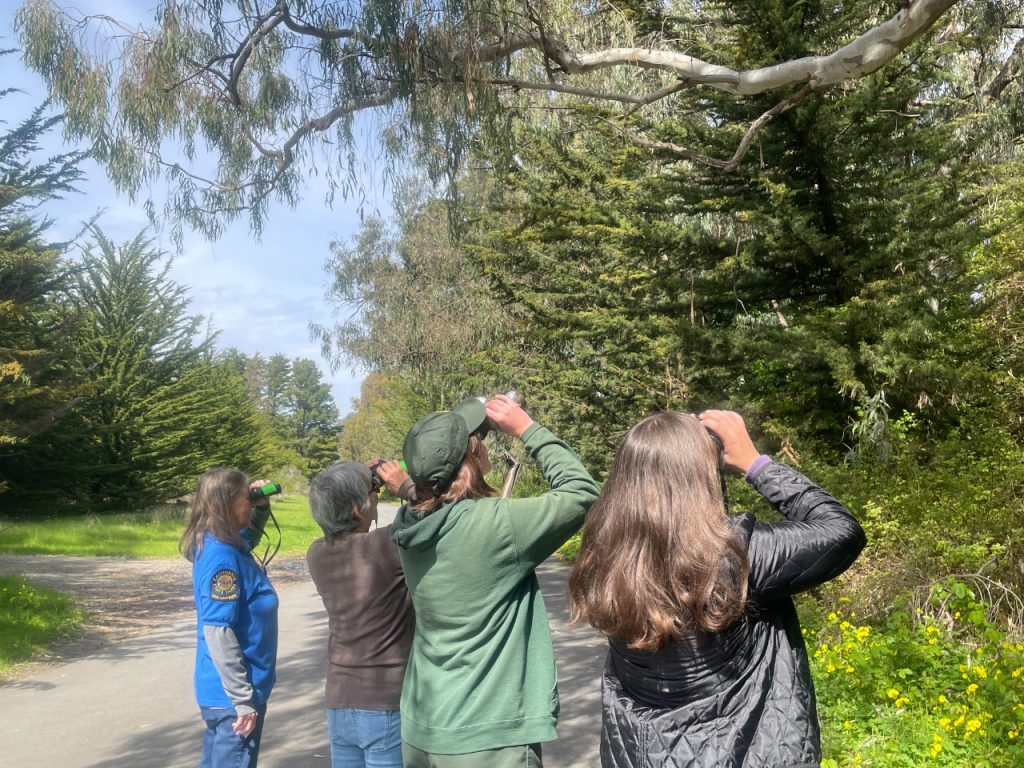 a group of birders looking up with binoculars