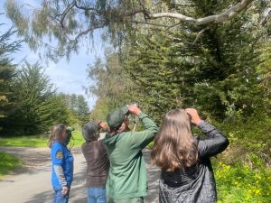 a group of birders looking up with binoculars