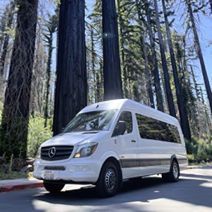 The Big Basin Shuttle Driving along a forest road