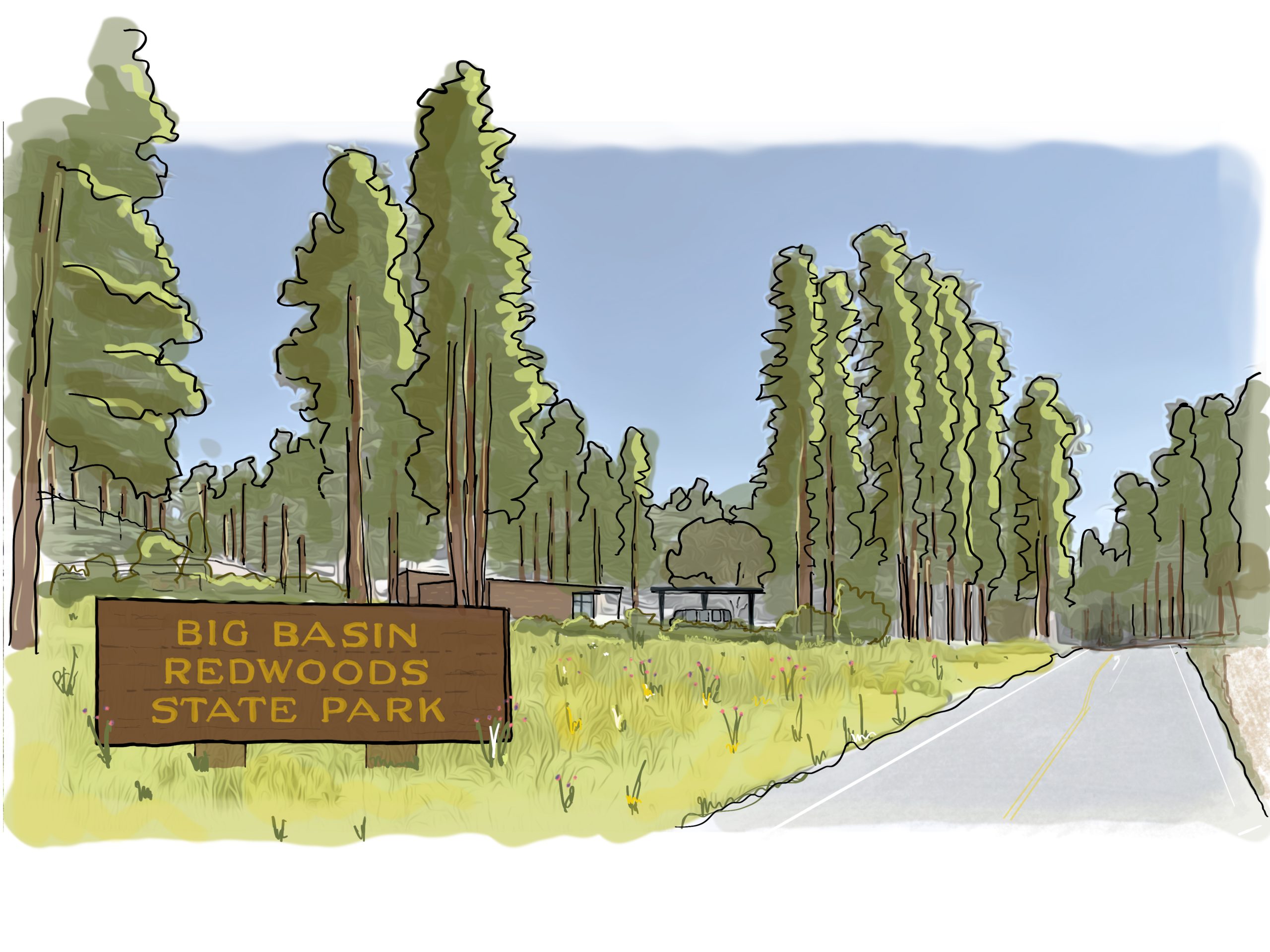 Illustration of the Big Basin Redwoods State Park Welcome Center