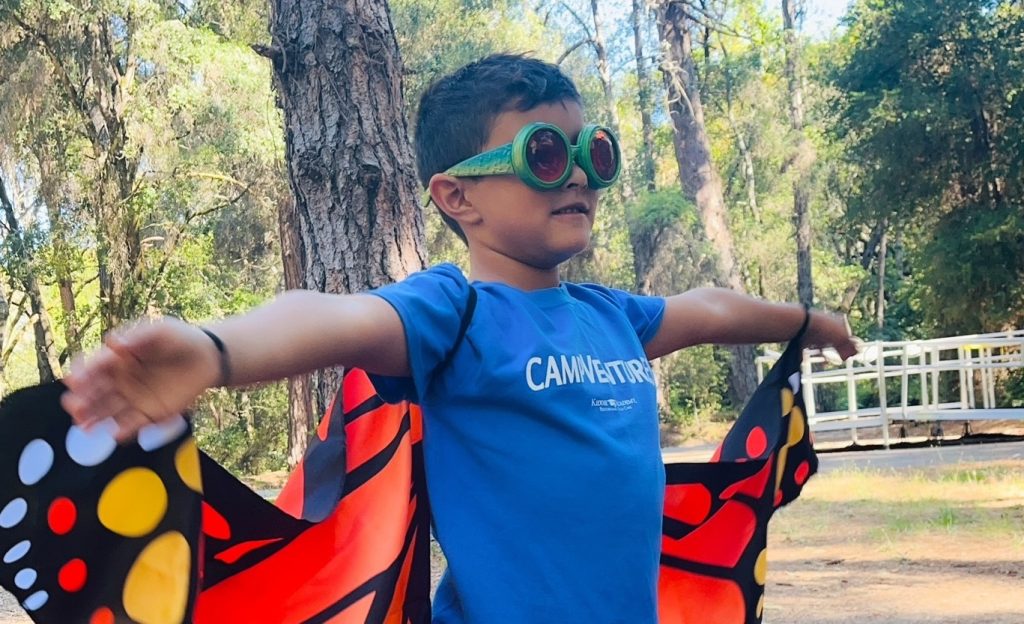 A child wearing costume butterfly wings