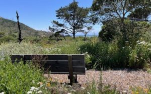 A bench along a trail at Rancho del Oso