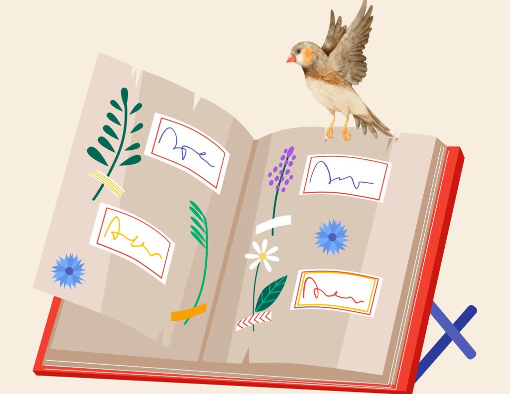 An illustrated journal with a cartoon bird perched on top